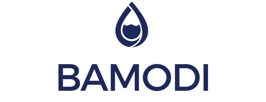 Bamodi Logo
